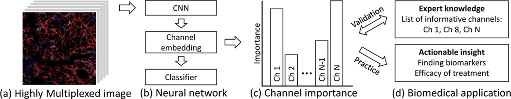 Fig. 1: