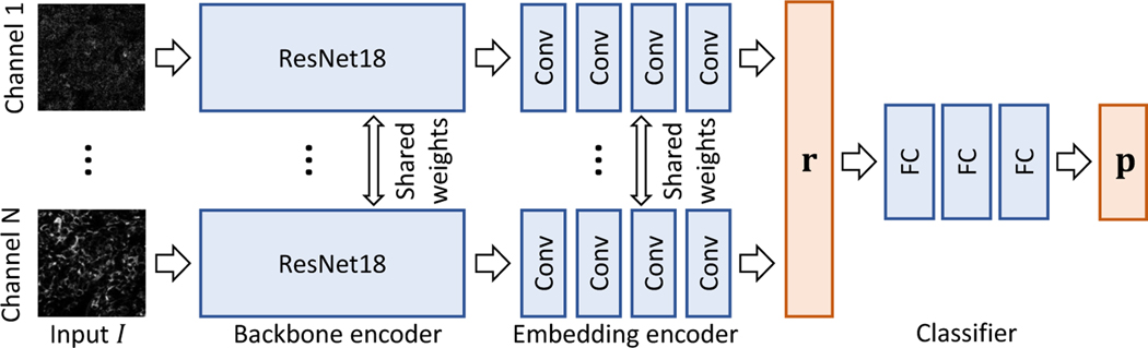 Fig. 2: