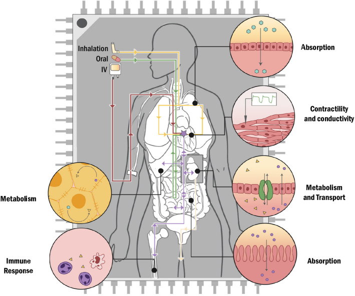 FIGURE 1