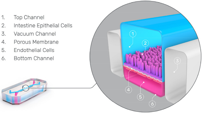 FIGURE 3