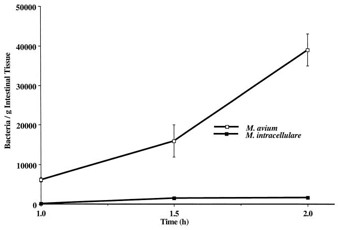 FIG. 1