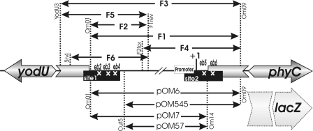 FIG. 1.