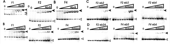 FIG. 4.