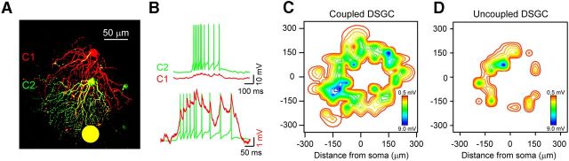 Figure 4.