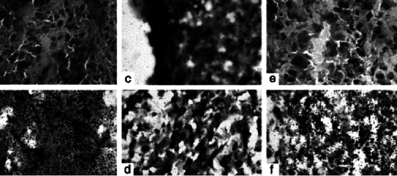 Fig. 4a–f