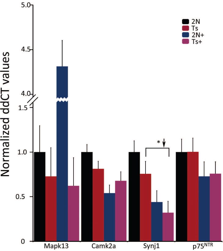 Figure 7