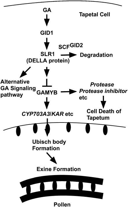 Figure 11.