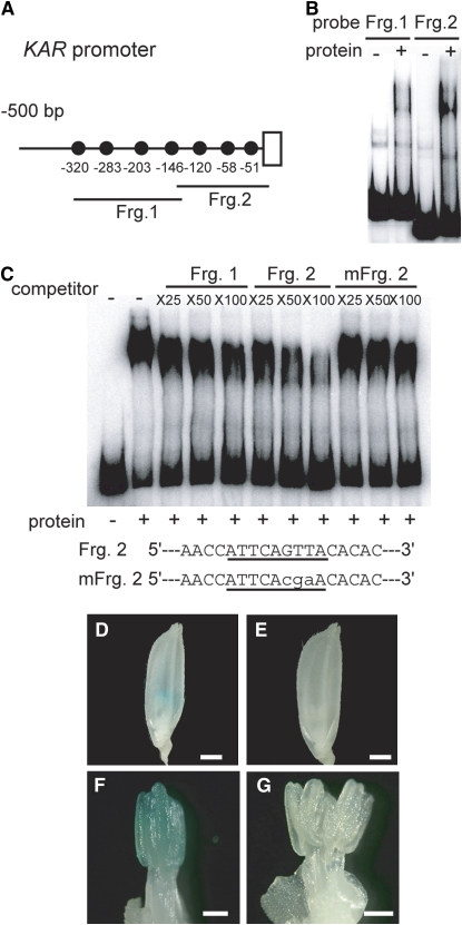 Figure 9.