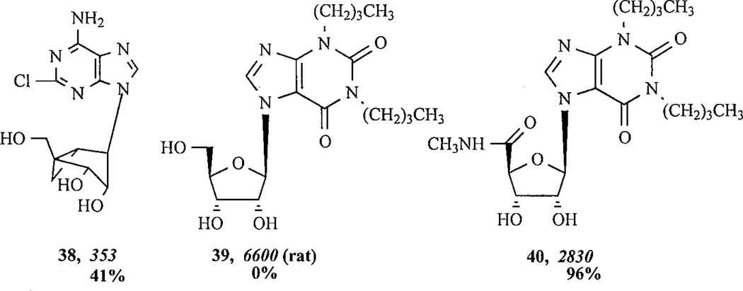 Chart 5