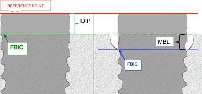 Fig. 3