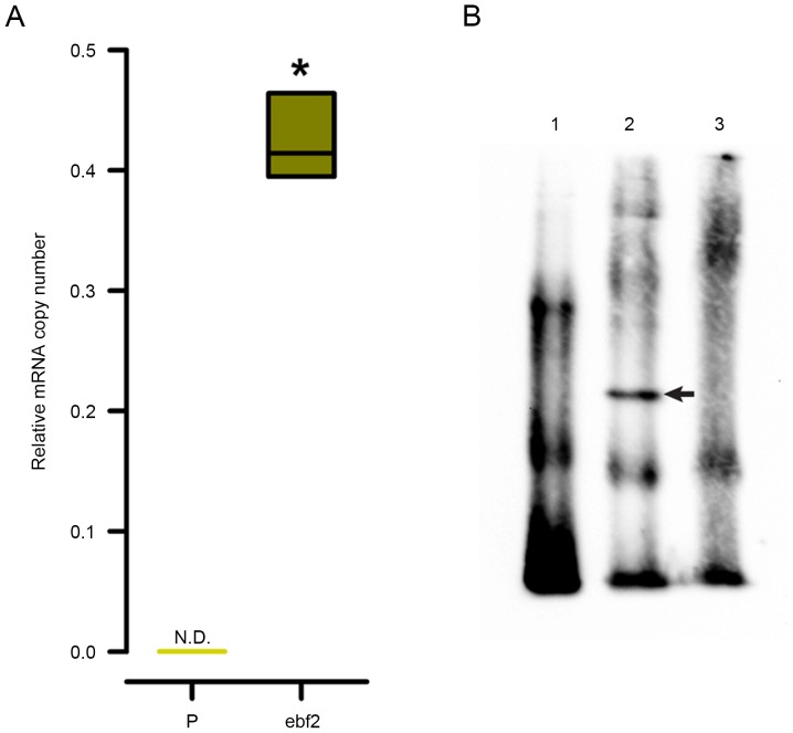 Figure 5.