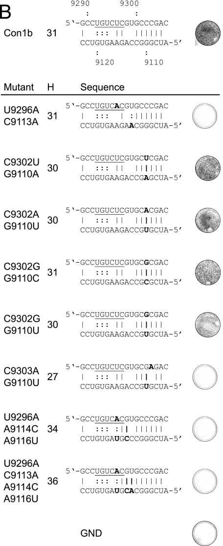 FIG. 7.