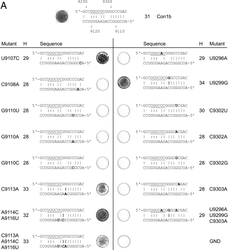 FIG. 7.