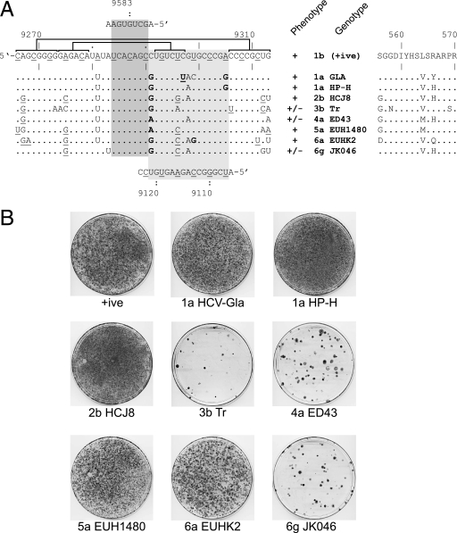 FIG. 6.