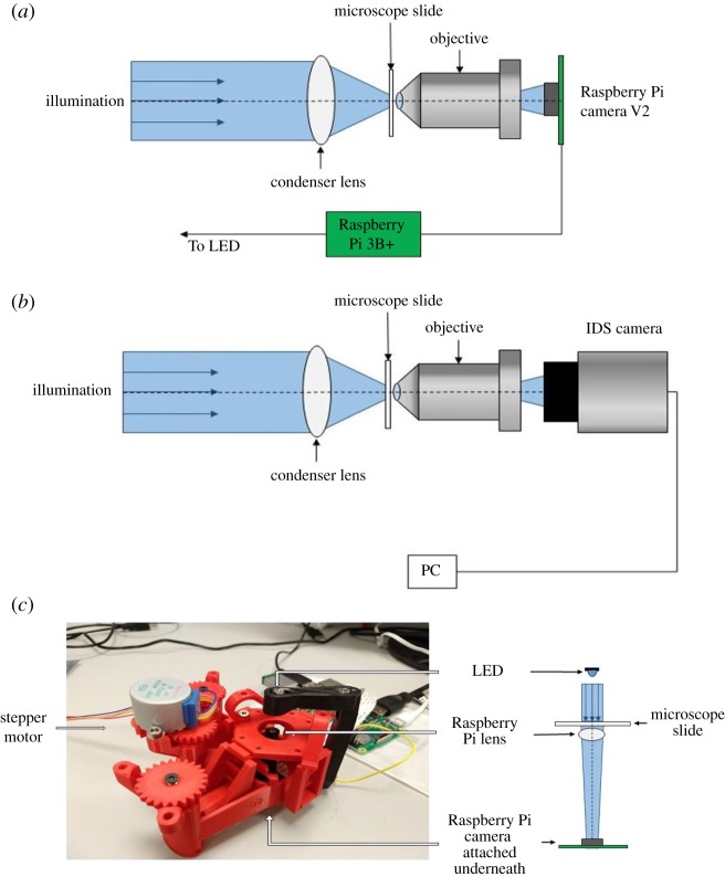 Figure 1.