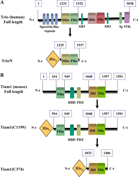 FIGURE 2.