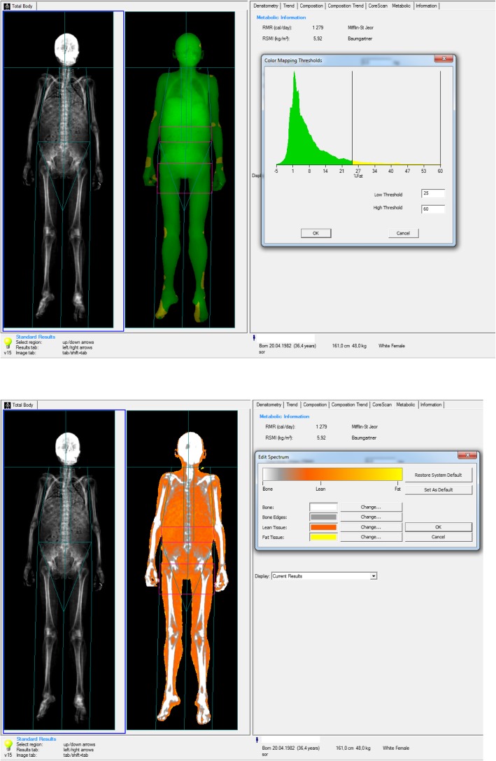 Fig. 1