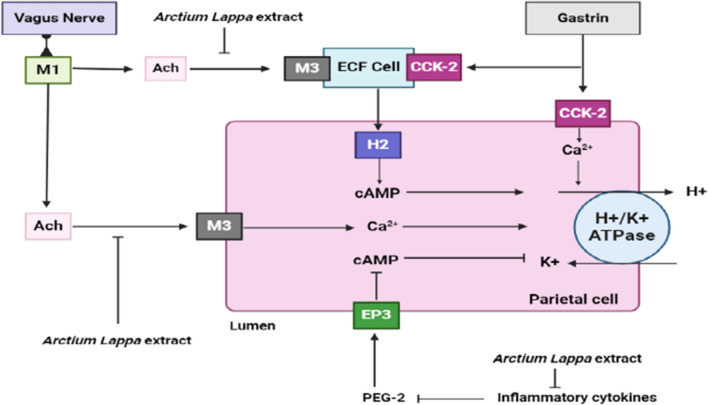 Fig. 13