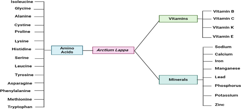 Fig. 2