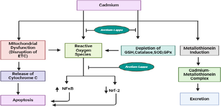 Fig. 4