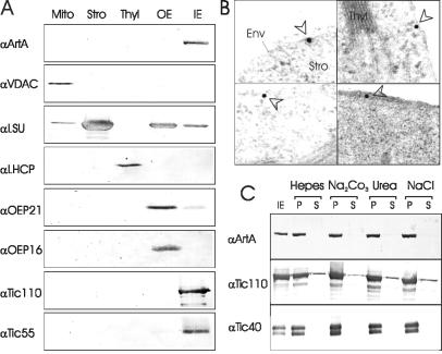 Fig 2.