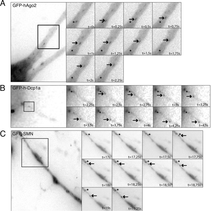 Figure 5.