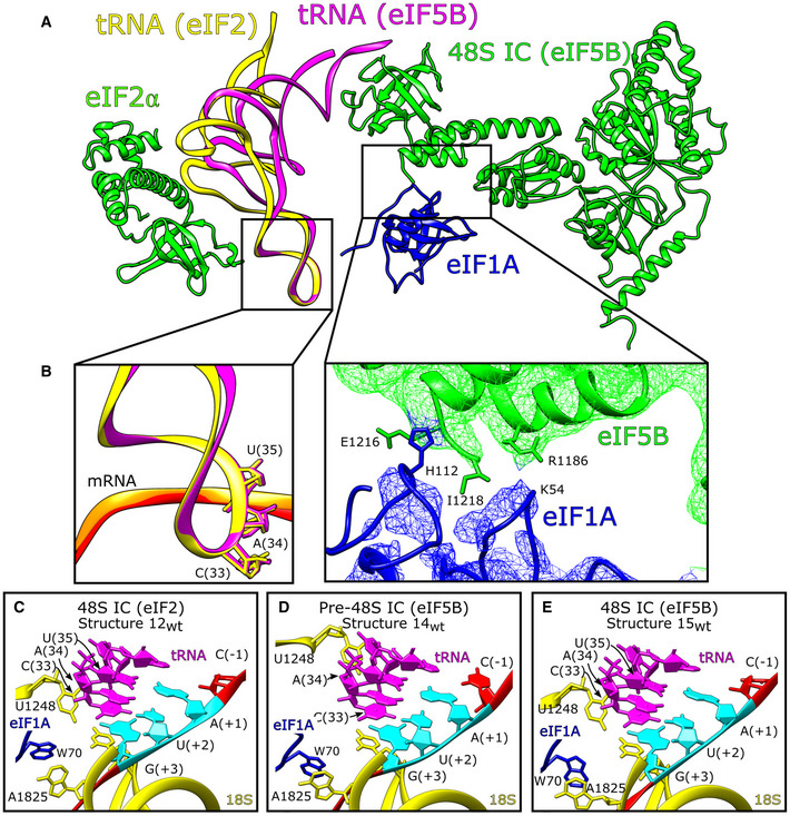 Figure 5