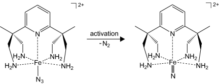 Scheme 2.