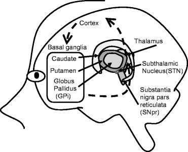 Fig. 2