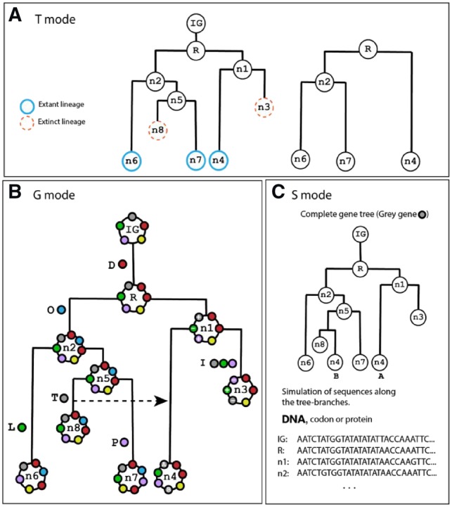 Fig. 1.