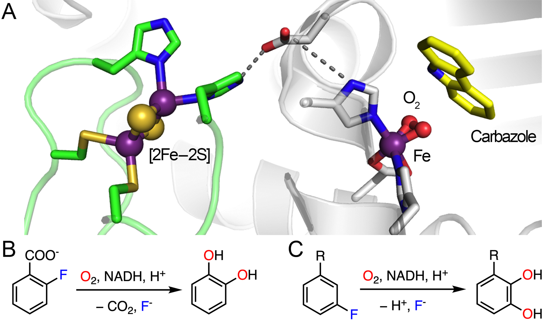 Fig. 10