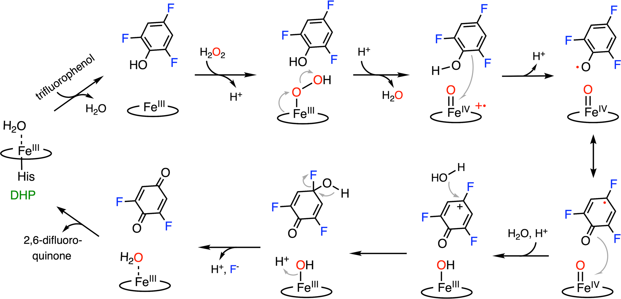 Fig. 2