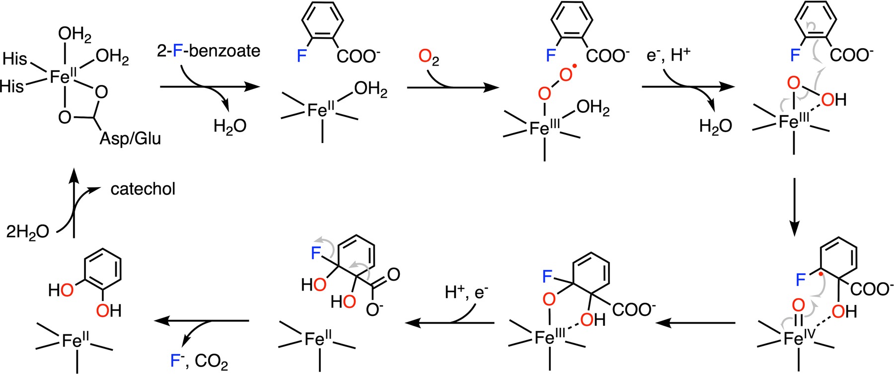 Fig. 11