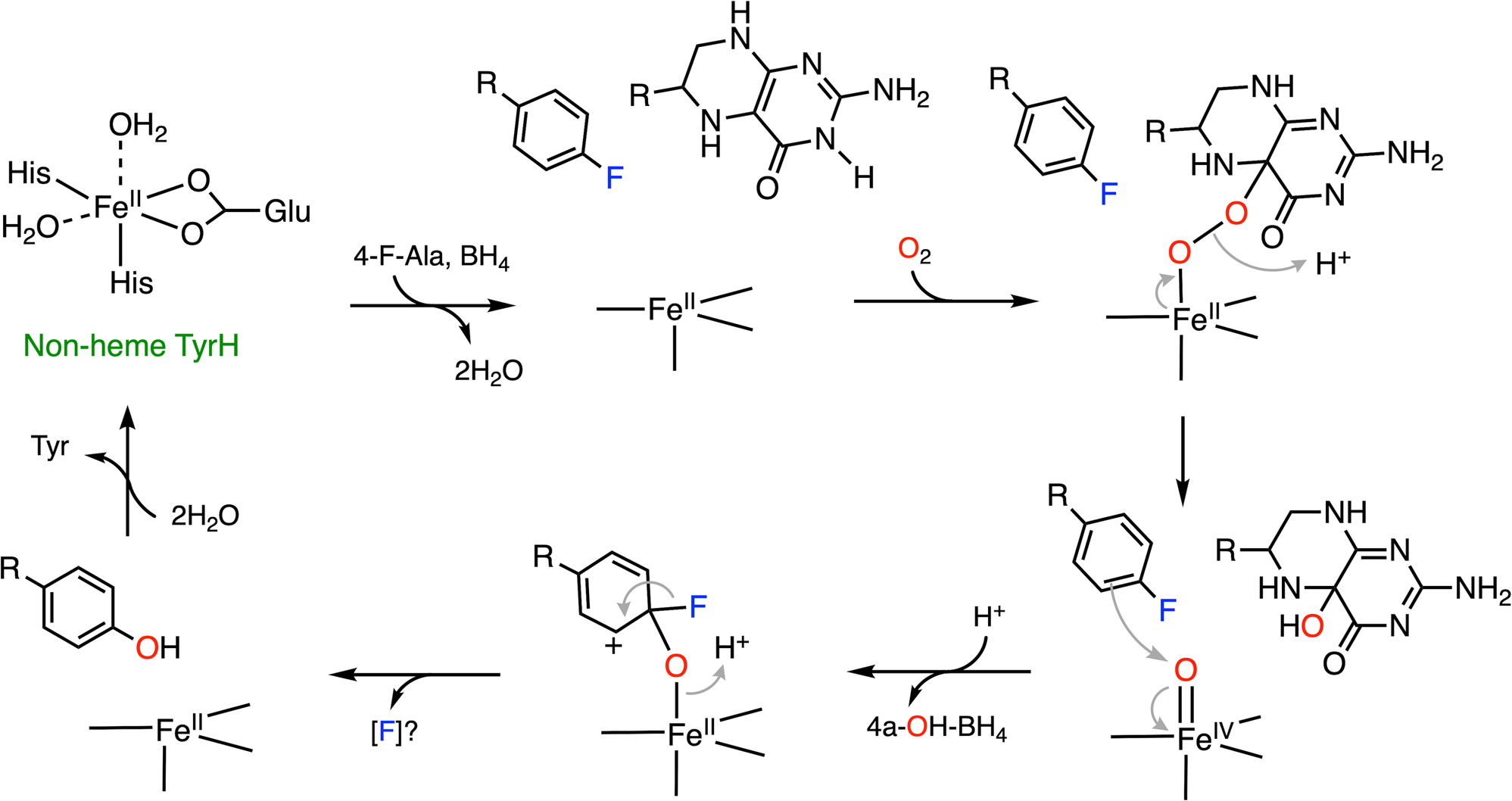 Fig. 7