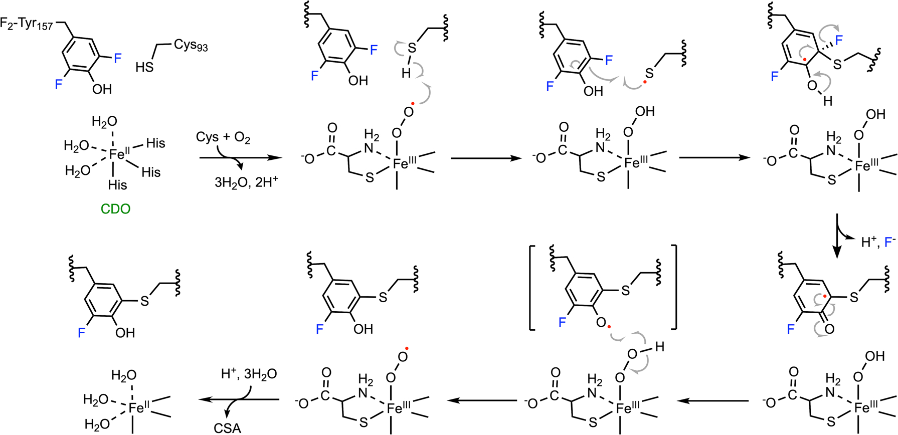 Fig. 13