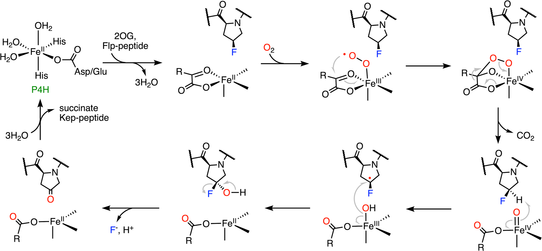 Fig. 9