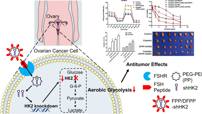 graphic file with name 12951_2020_720_Figa_HTML.jpg