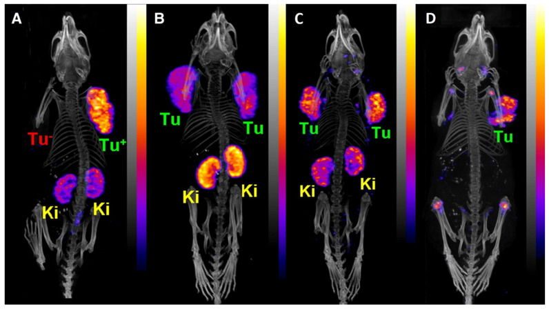 Figure 12