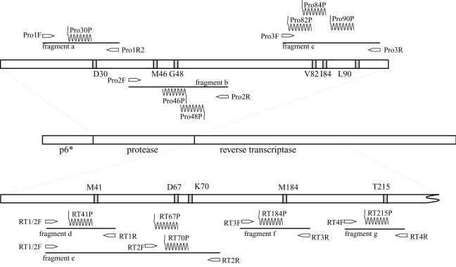 FIG. 1.