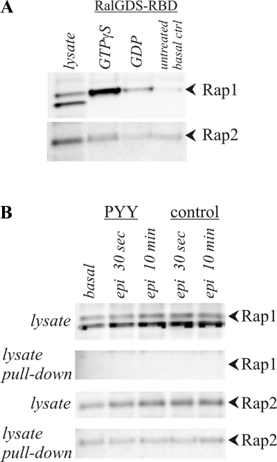 Fig. 11.