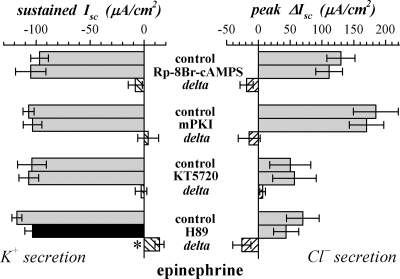 Fig. 10.