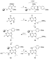 Scheme 2