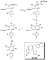 Scheme 1