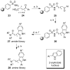 Scheme 4