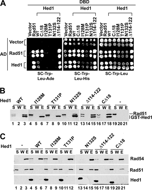 FIGURE 4.