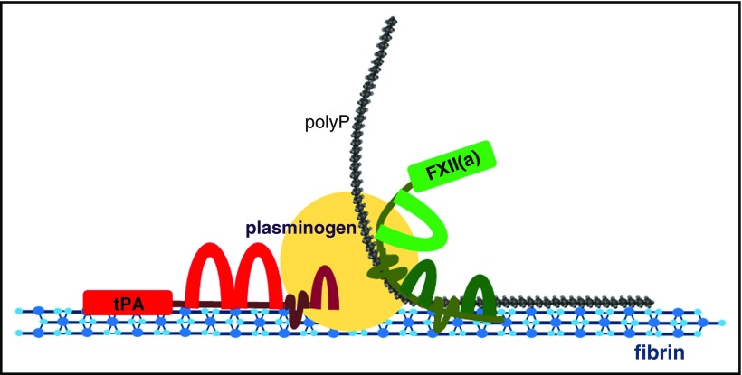 Figure 7.