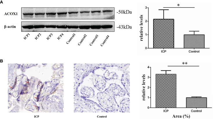 Figure 2