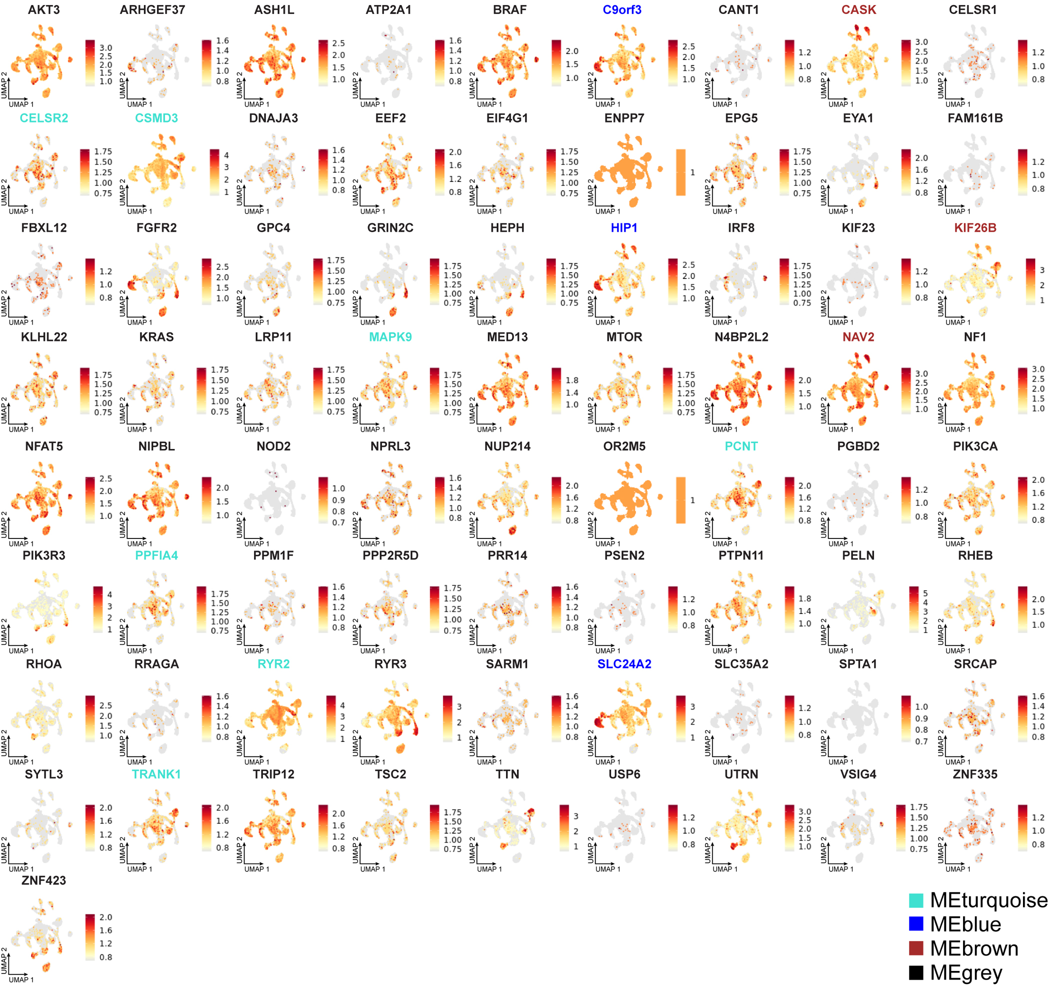 Extended Data Fig. 9