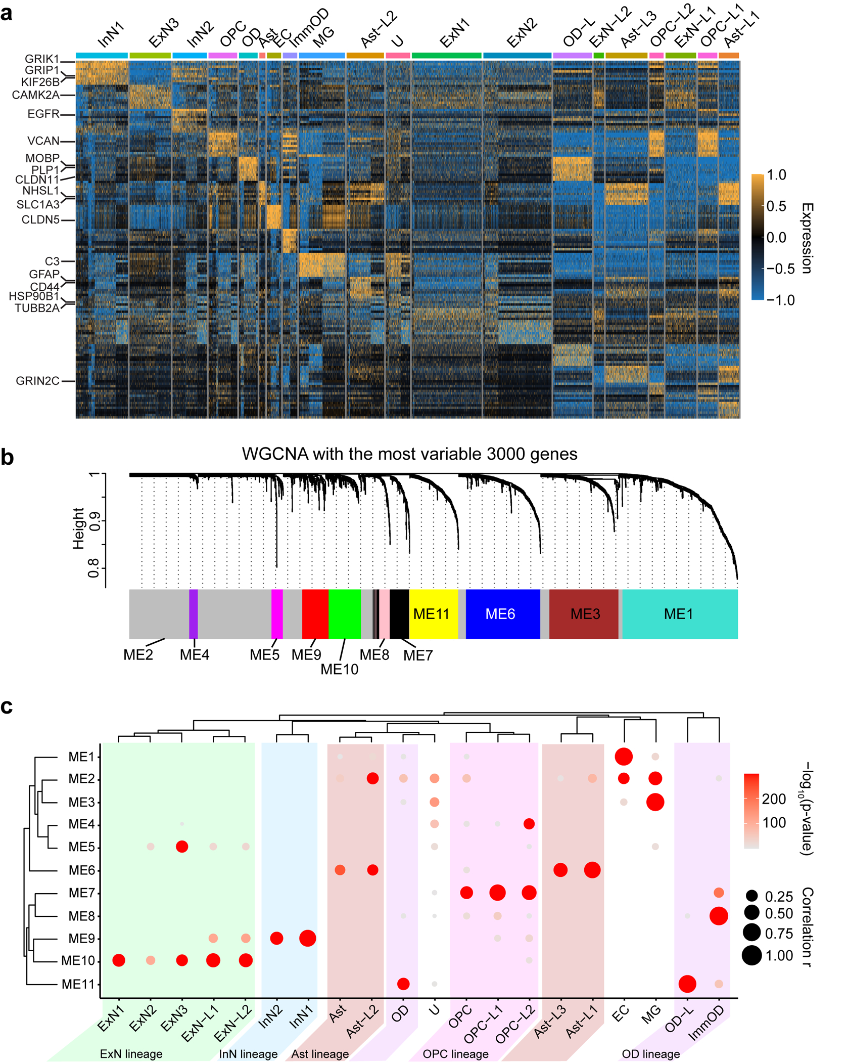 Extended Data Fig. 7