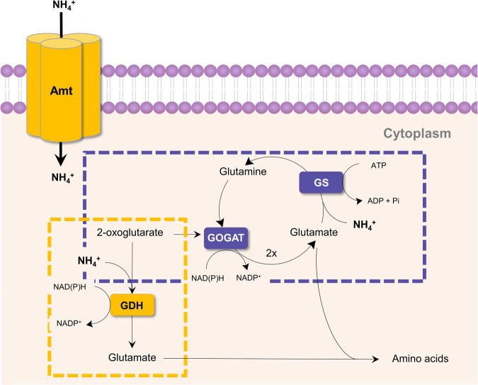 Fig. 2